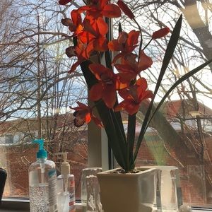 Meet your Posher, Daniela